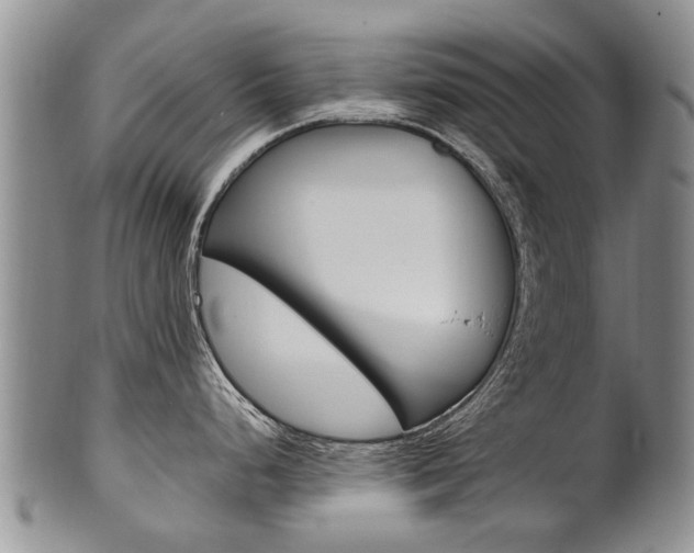 X0000102511248200808081000
