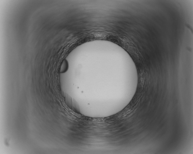 X0000102511249200808080959