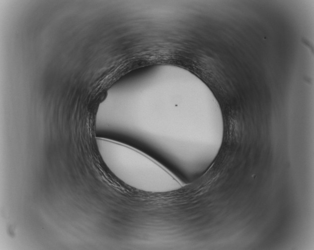 X0000102511250200808080959