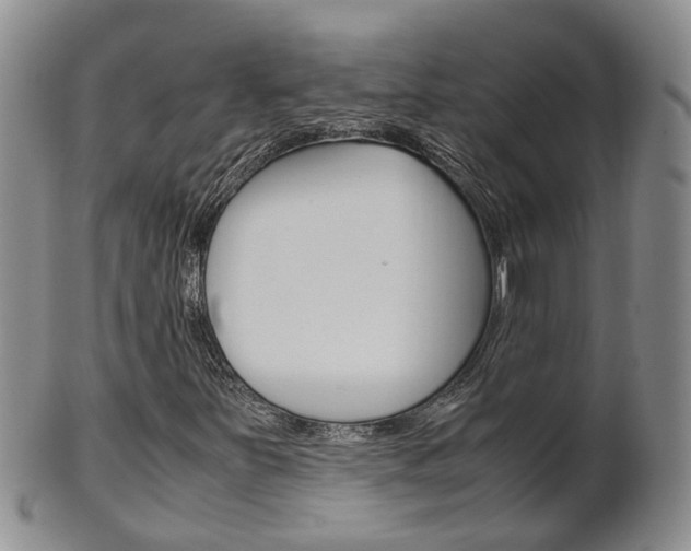 X0000102511251200808080959