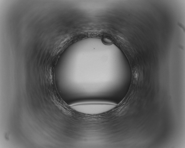X0000102511252200808080959