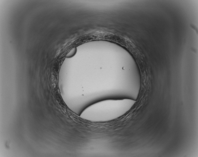 X0000102511253200808080959
