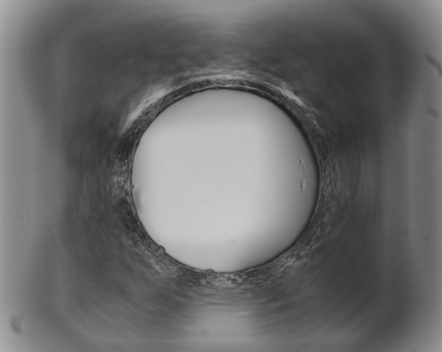 X0000102511255200808080959