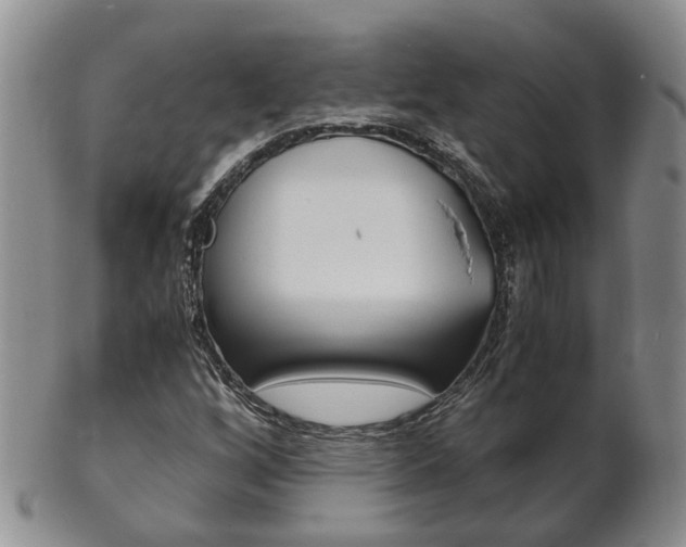 X0000102511256200808080959