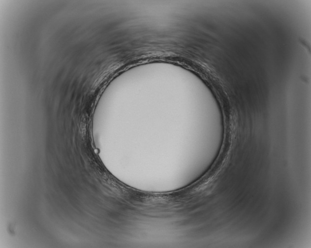 X0000102511257200808080959