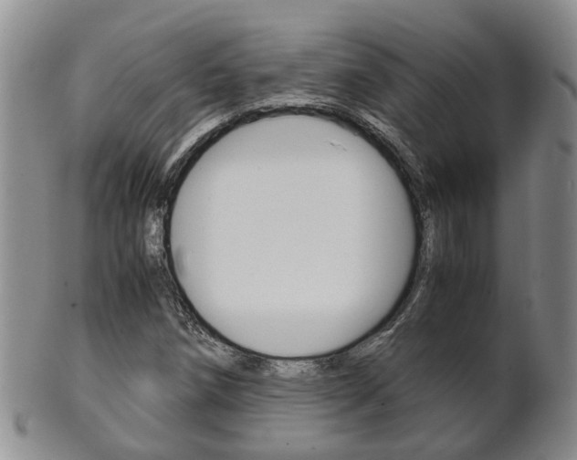 X0000102511258200808080959
