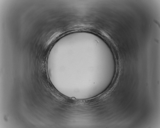 X0000102511259200808080959