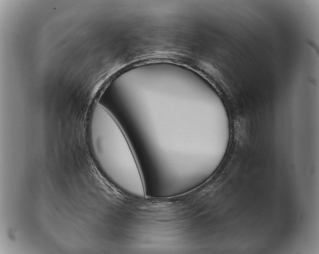 X0000102511260200808080959
