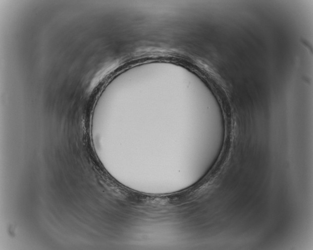 X0000102511261200808080959