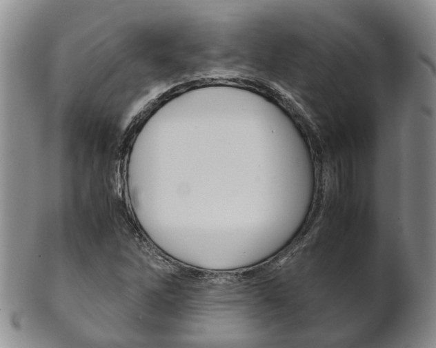 X0000102511262200808080959