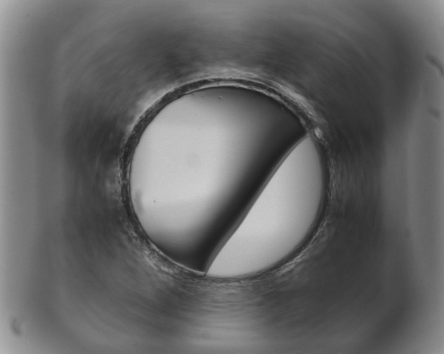 X0000102511264200808080959