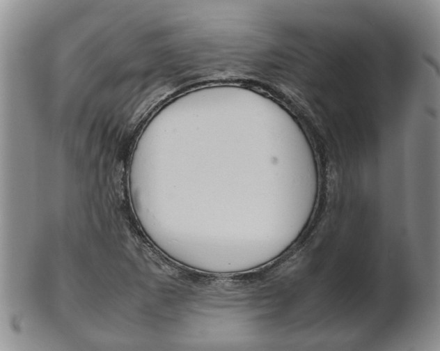 X0000102511265200808080959