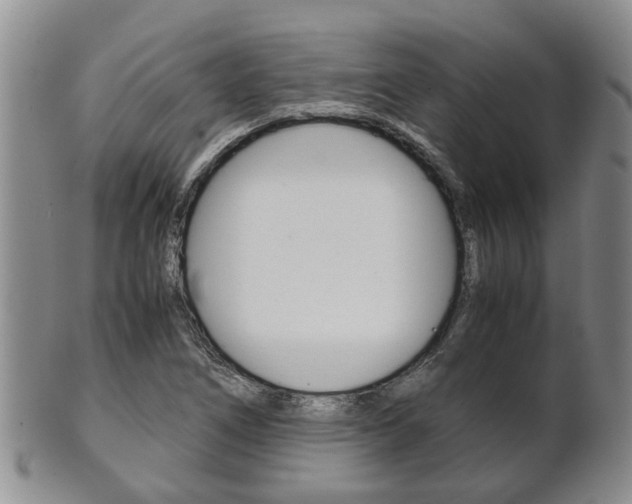X0000102511266200808080959