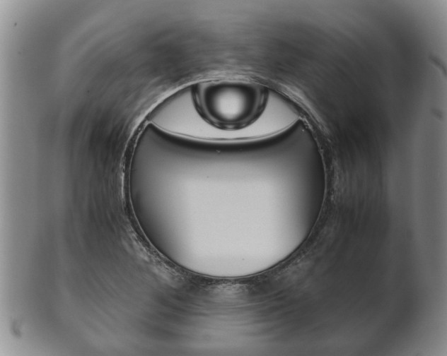 X0000102511268200808080959