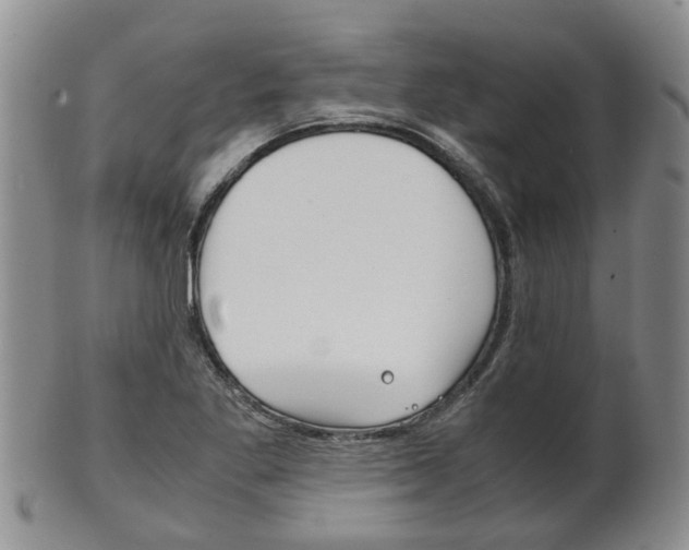 X0000102511269200808080959