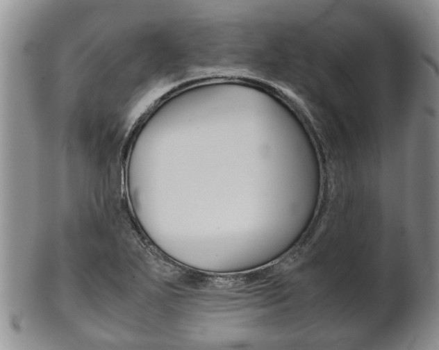 X0000102511271200808080959