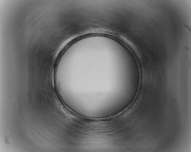 X0000102511272200808080959