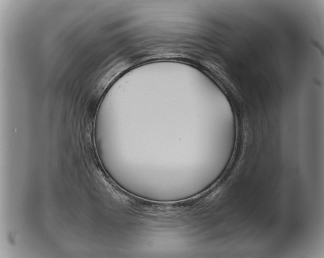 X0000102511273200808080959