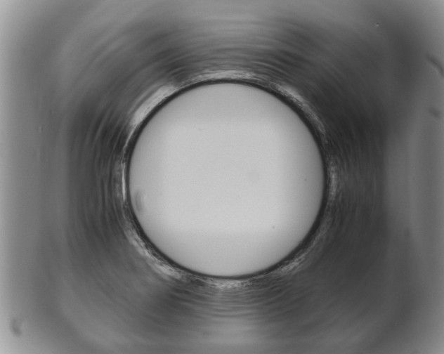 X0000102511274200808080959