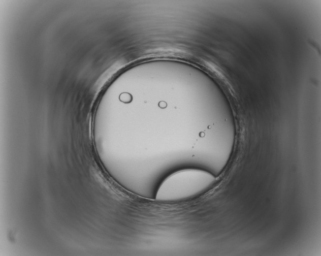 X0000102511275200808080959