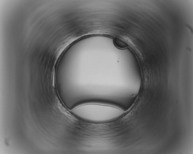 X0000102511276200808080959