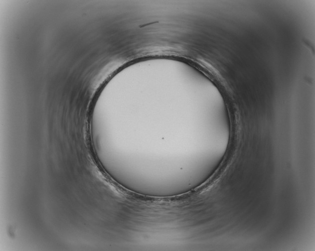X0000102511277200808080959