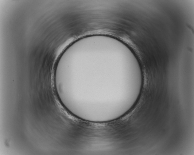 X0000102511278200808080959