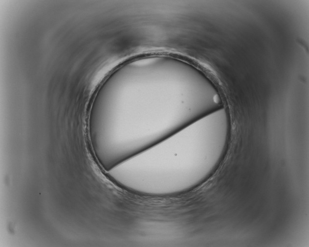 X0000102511279200808080958