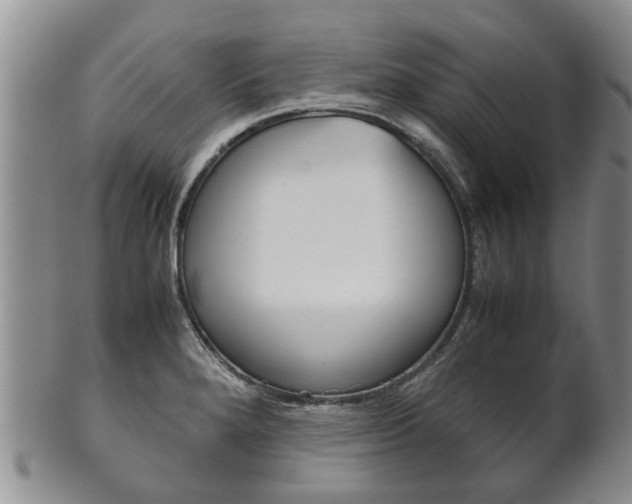 X0000102511280200808080958