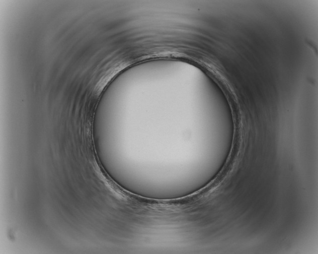 X0000102511281200808080958
