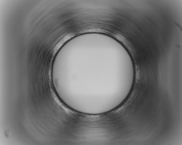 X0000102511282200808080958