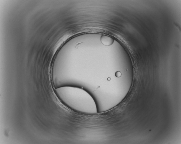 X0000102511283200808080958