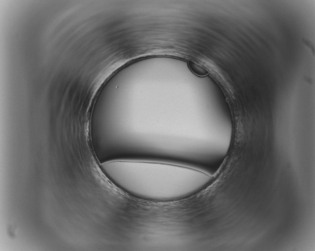 X0000102511284200808080958