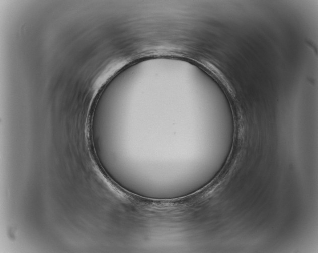 X0000102511285200808080958