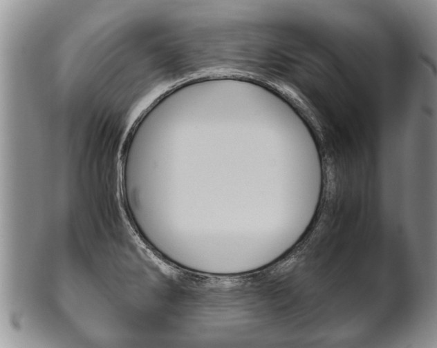 X0000102511286200808080958