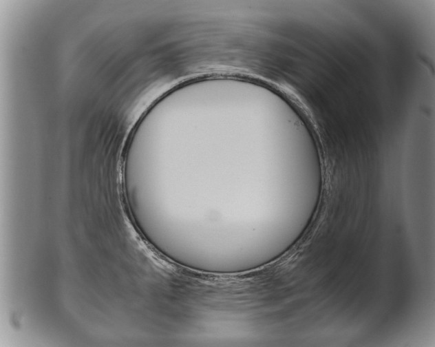 X0000102511287200808080958