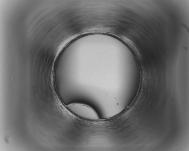 X0000102511288200808080958