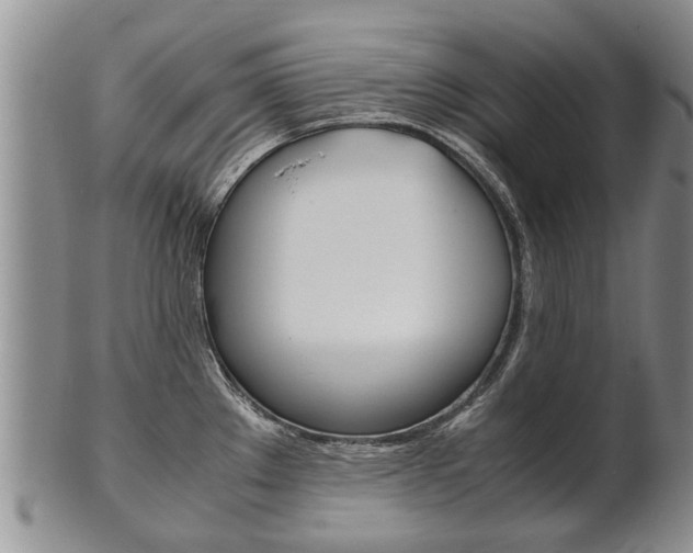 X0000102511289200808080958