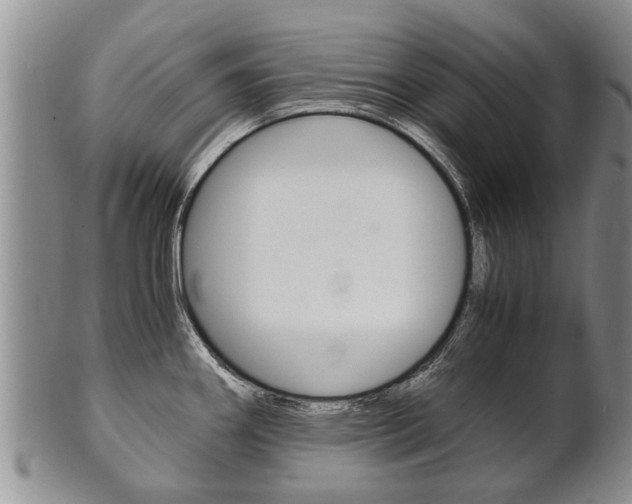 X0000102511290200808080958