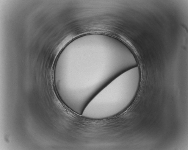 X0000102511291200808080958