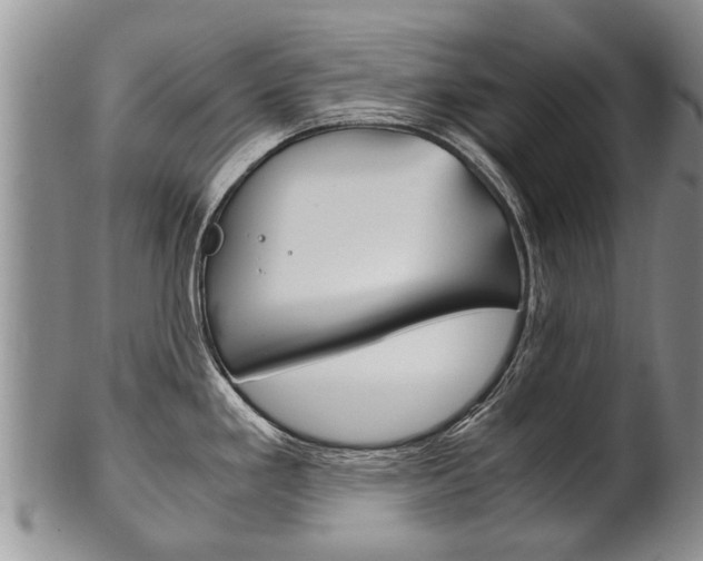 X0000102511293200808080958