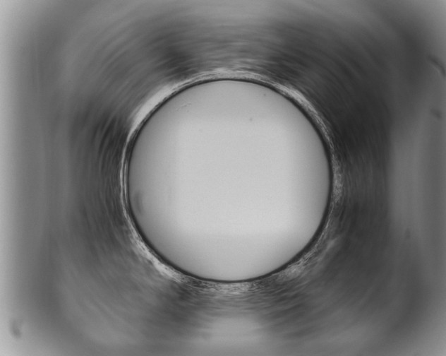 X0000102511294200808080958
