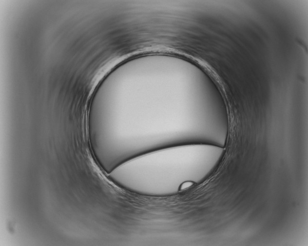 X0000102511295200808080958