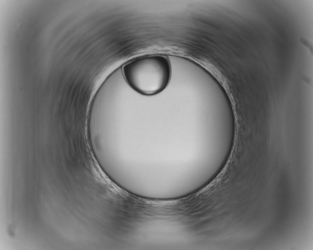 X0000102511296200808080958