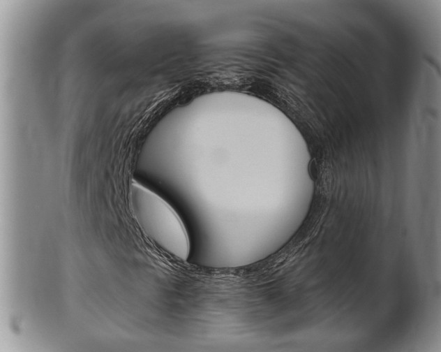 X0000102511297200808080958