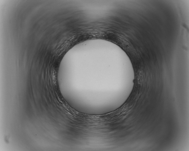 X0000102511298200808080958