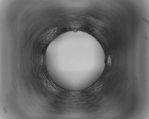 X0000102511299200808080958
