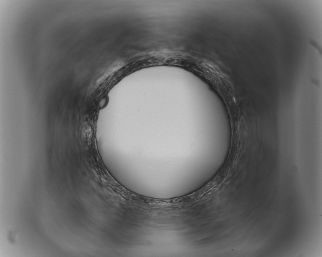 X0000102511302200808080958