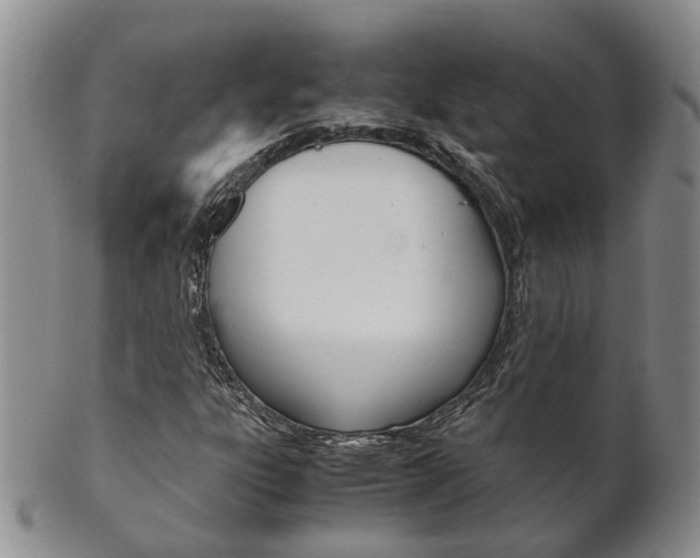 X0000102511303200808080958