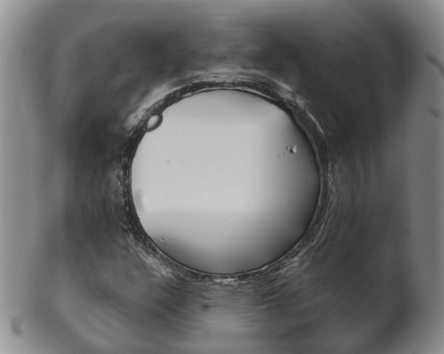 X0000102511304200808080958